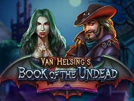 Van Helsings Book of the Undead game screenshot
